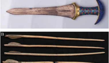 Ancient Egyptian princesses were skilled archers and used weapons 4,000 years ago, bone study finds