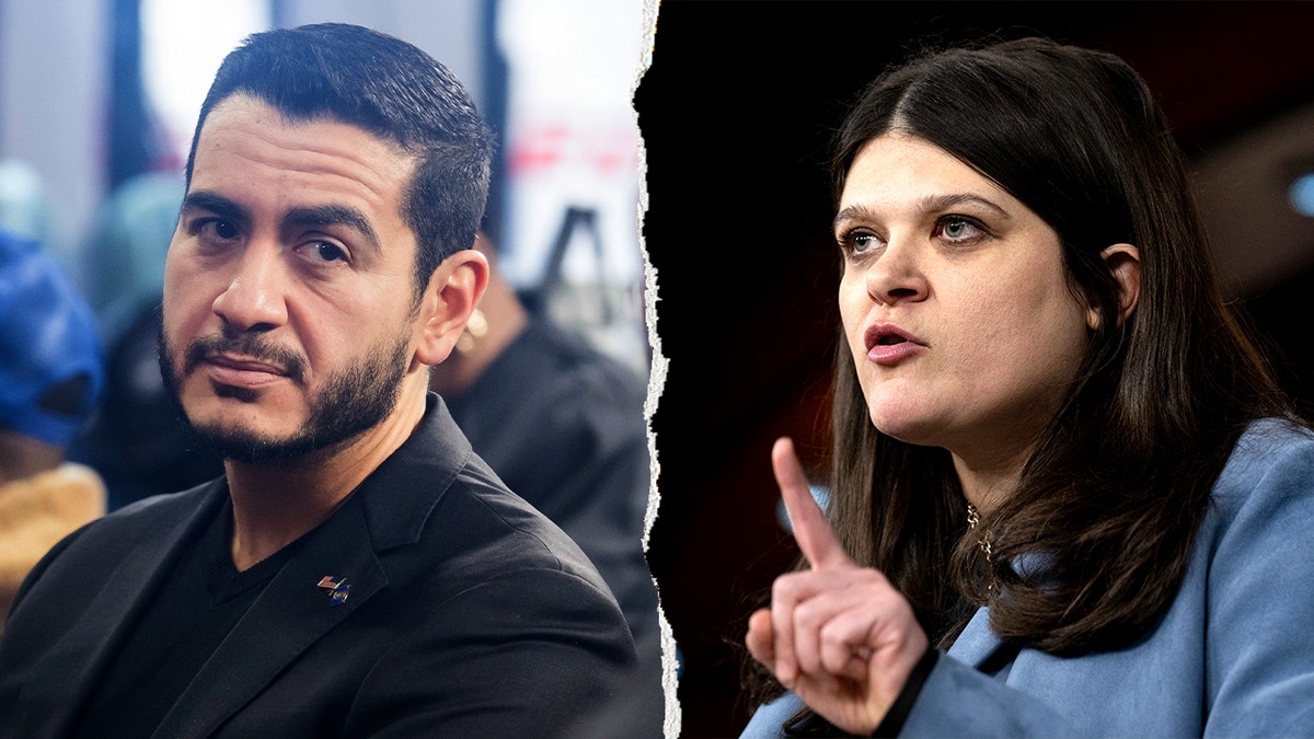 Split of Abdul El-Sayed / Haley Stevens