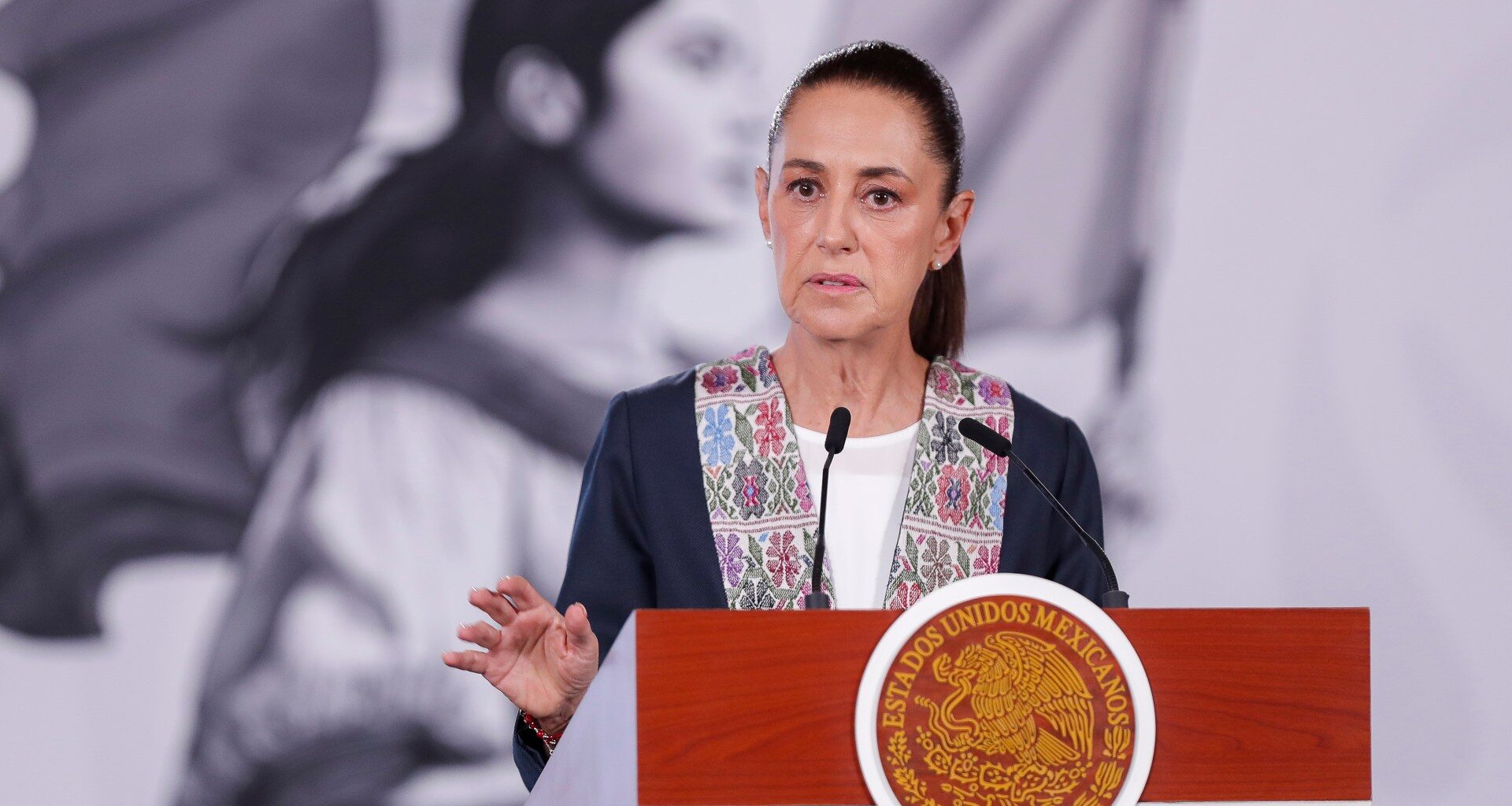 Mexico’s Sheinbaum announces criminal charges request in US over ICE deaths | Migration News