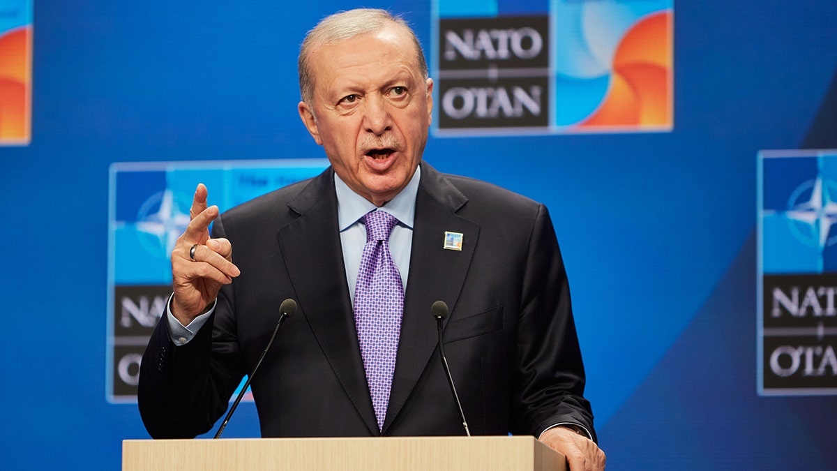 Erdogan at NATO
