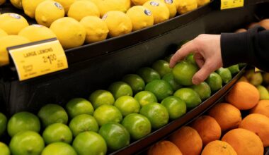 A worker stocks limes ahead of the Thanksgiving Day holiday at an Albertsons supermarket in Redmond, Washington, on Nov. 24, 2025. (REUTERS/David Ryder)