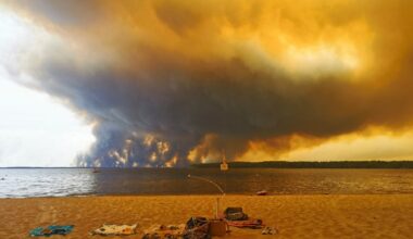 France's Wildfires Just Triggered Something the Country Has Never Seen Before