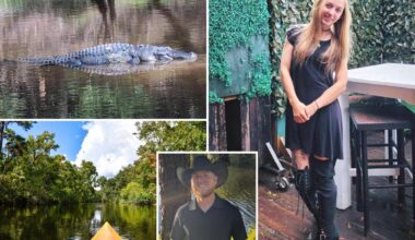 Harrowing 911 call reveals fight to save Brittany Clark after fatal alligator attack