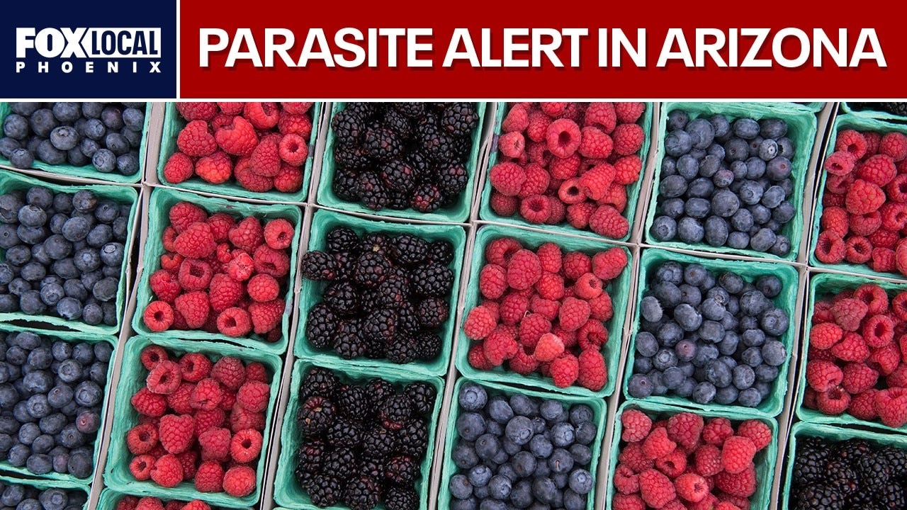 Arizona reports several cyclosporiasis cases: What to know