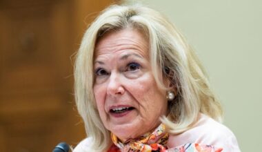 Dr. Deborah Birx says Fauci hearing shows there's still "persistent anger" over government's handling of COVID