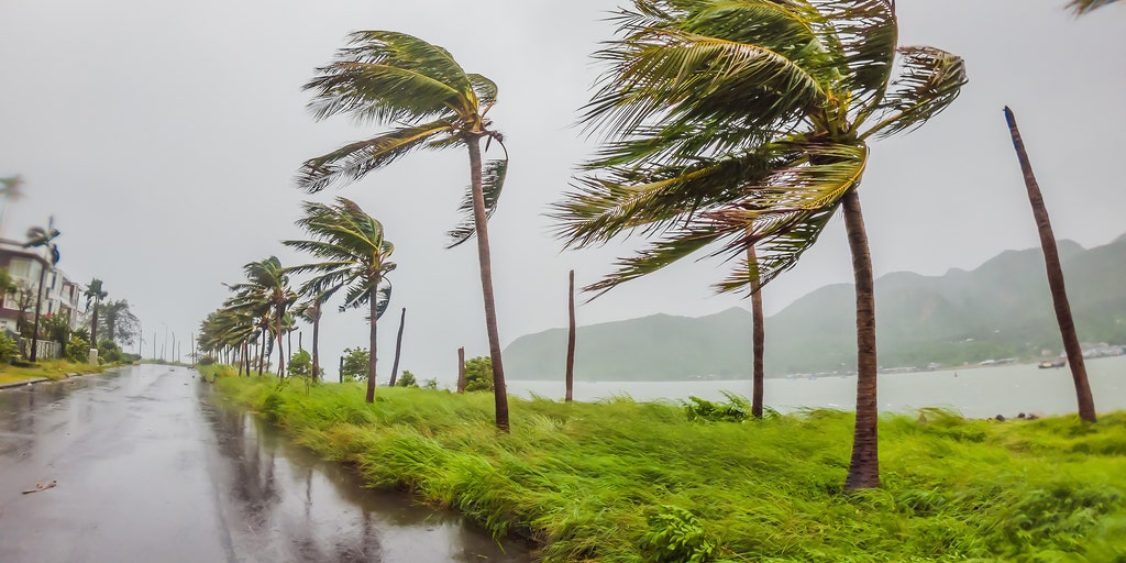 Tropical Depression Two expected to strengthen into Tropical Storm Bertha
