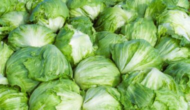 Taylor Farms pulls iceberg lettuce from the US market after cyclosporiasis outbreak