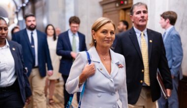 Darline Graham in serious discussions about running for Lindsey Graham's seat