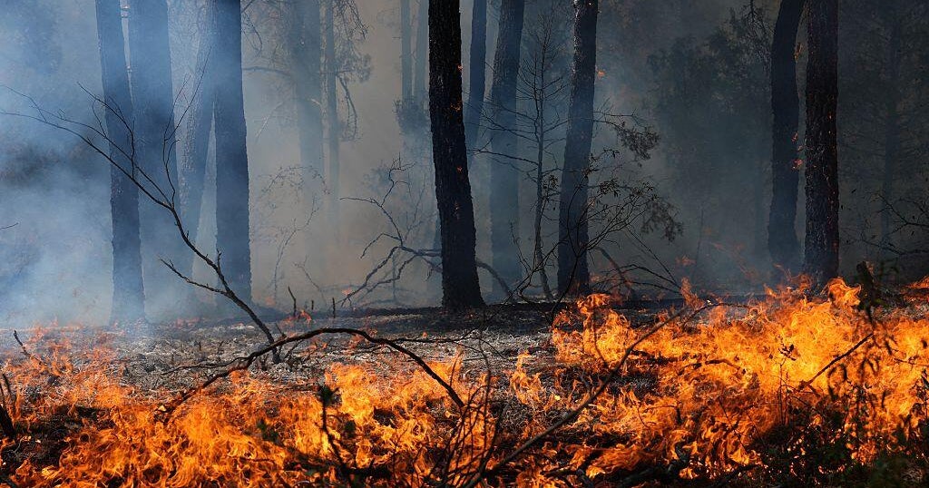 SPAIN-WILDFIRE-EMERGENCY-GOVERNMENT-CLIMATE