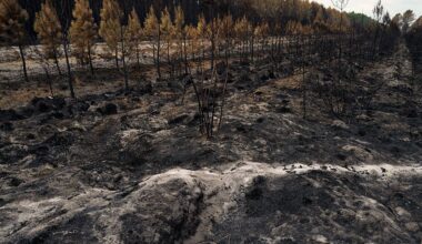 What the fires burning near Bordeaux's vineyards could mean for France's wine industry