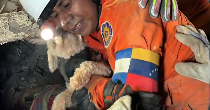 Dog rescued from rubble 5 days after Venezuela earthquakes, video shows