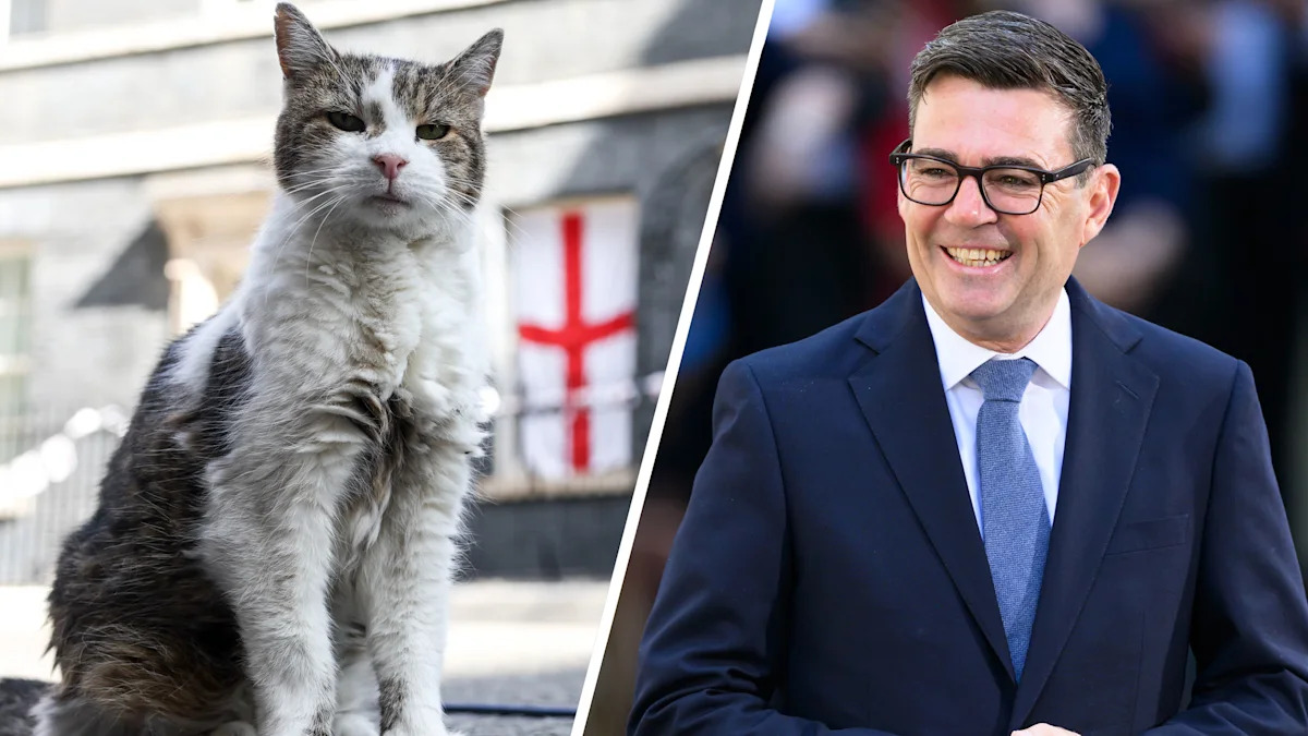 Larry the Cat welcomes Andy Burnham, his 7th British prime minister, to Downing Street: A look back at the feline's 15 years of service in photos