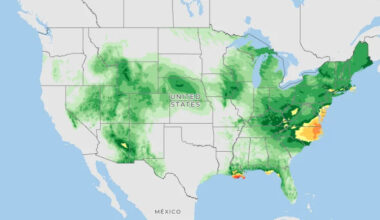 A forecast map from the National Centers for Environmental Prediction showing where heavy rain is expected across the United States on July 20, 2026.