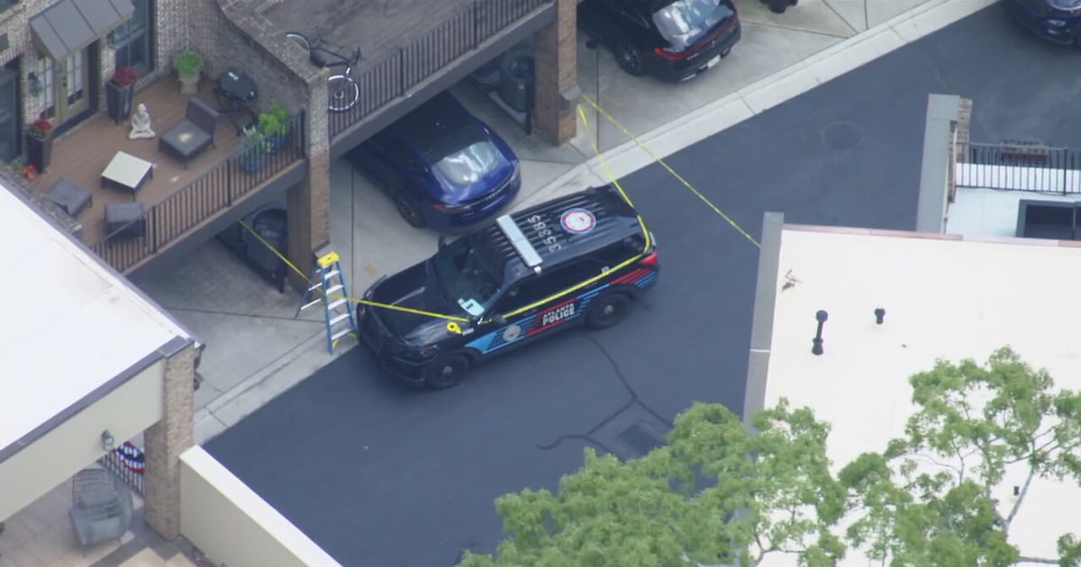 Former Falcons player’s brother booked into jail after mom found dead in Buckhead – WSB-TV Channel 2