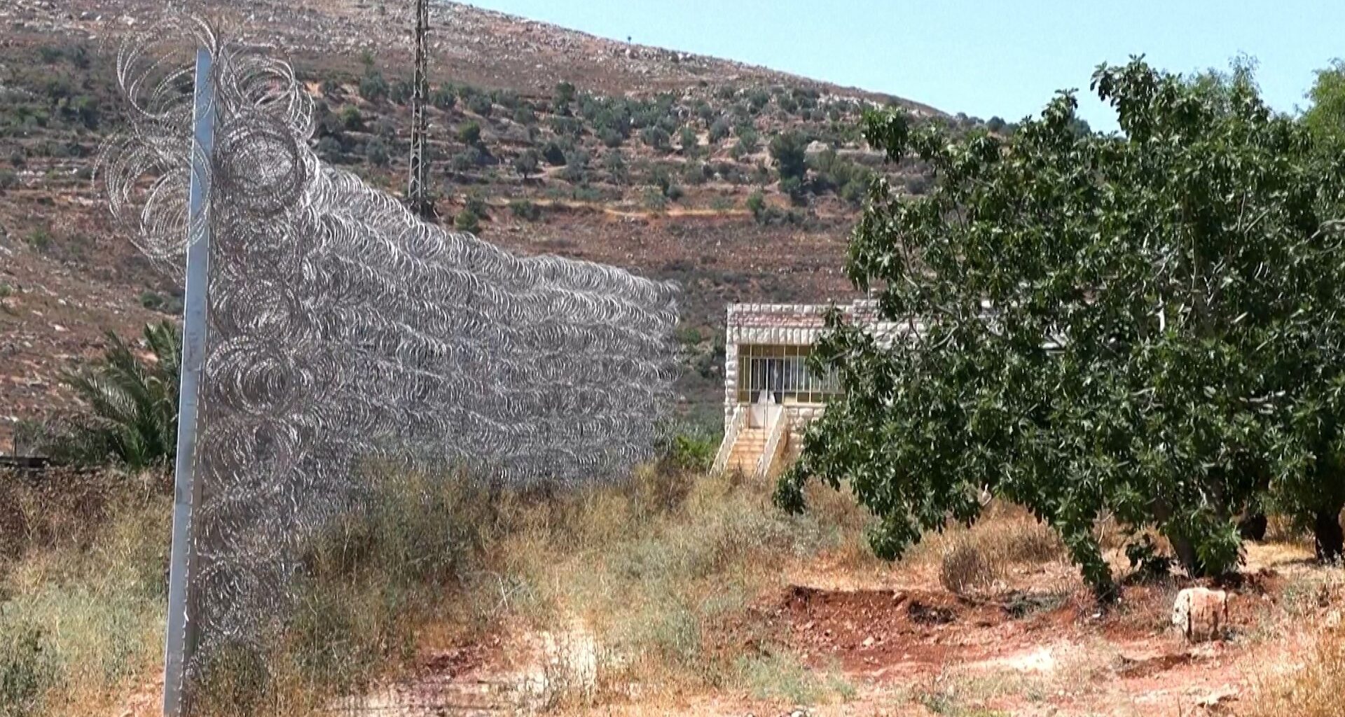 Israeli settlers attack Sinjil town in occupied West Bank | Israel-Palestine conflict News