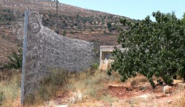 Israeli settlers attack Sinjil town in occupied West Bank | Israel-Palestine conflict News