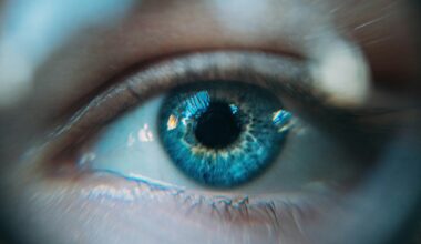 The Blogs: Startup Nation Eyes: Inside Israel's Quiet Dominance in Computer Vision | David Rosh Pina