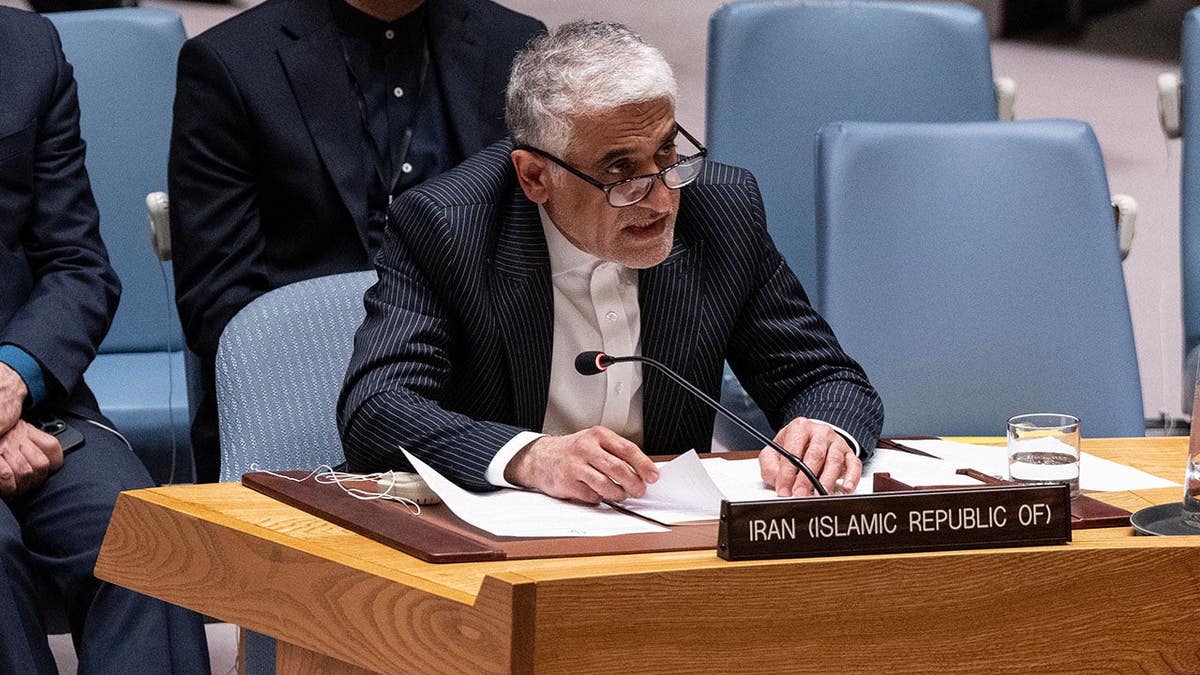 Ambassador Amir-Saeid Iravani of Iran