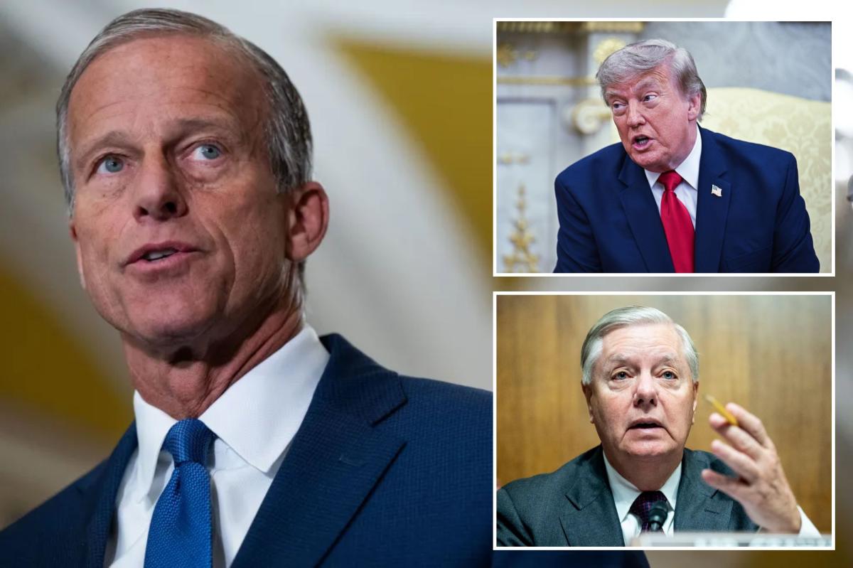 John Thune tells The Post about potential breakthrough on SAVE America Act — led by Lindsey Graham