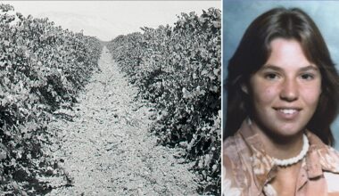 Girl buried beneath vineyard identified after 48 years as cops hunt killer