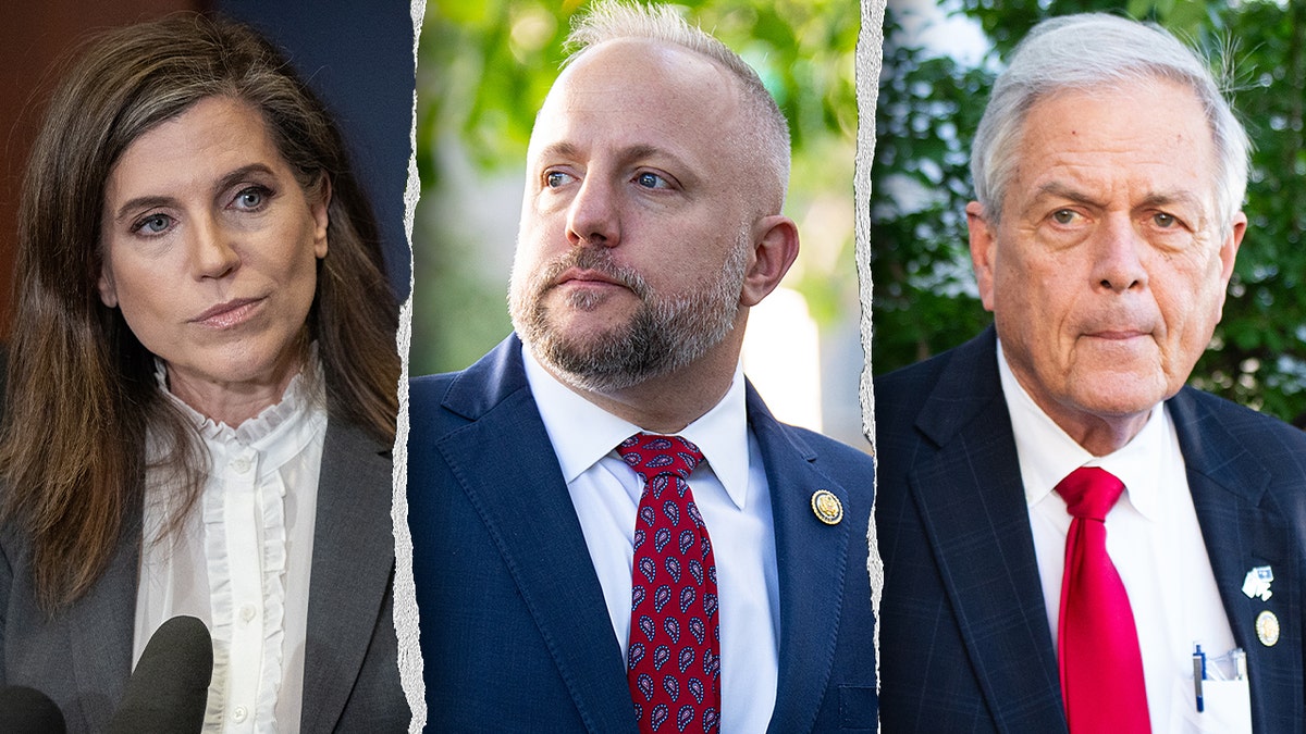 Reps. Nancy Mace, Russell Fry and Ralph Norman split