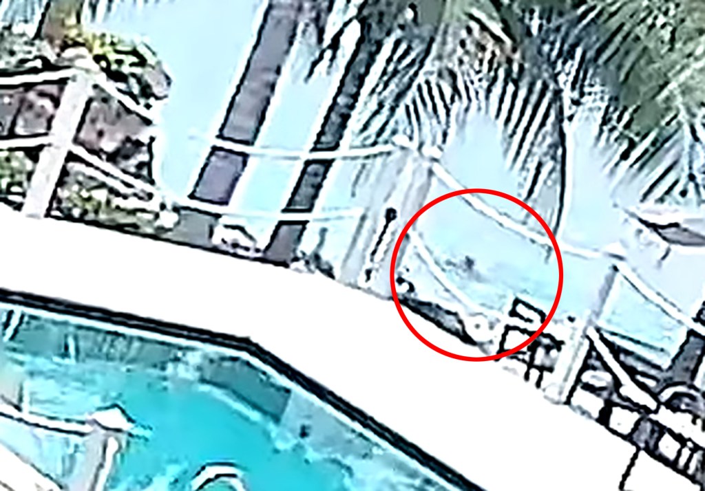 Footage of a woman swimming in a body of water, marked by a red circle.