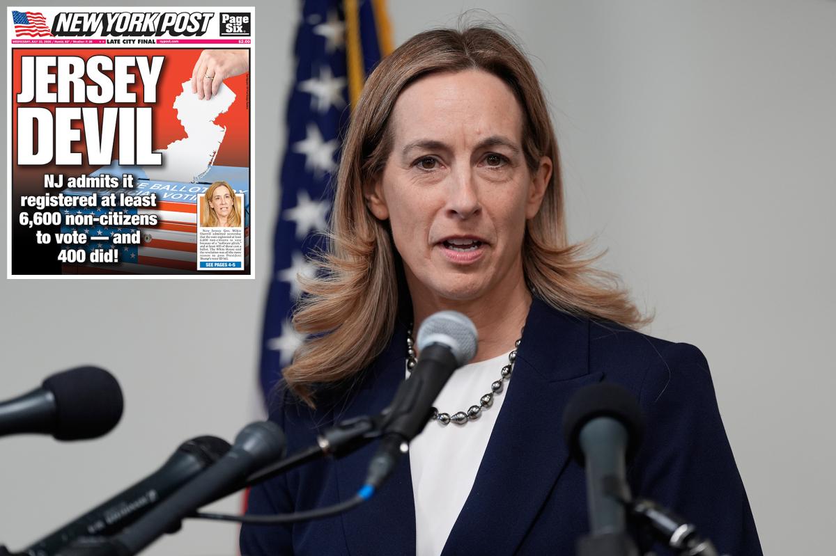 NJ's 6,600 non-citizens illegally registered to vote are just tip of iceberg: GOP chief