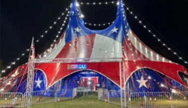 NY circus performer airlifted to hospital after female colleague's arrow misses target and hits his neck