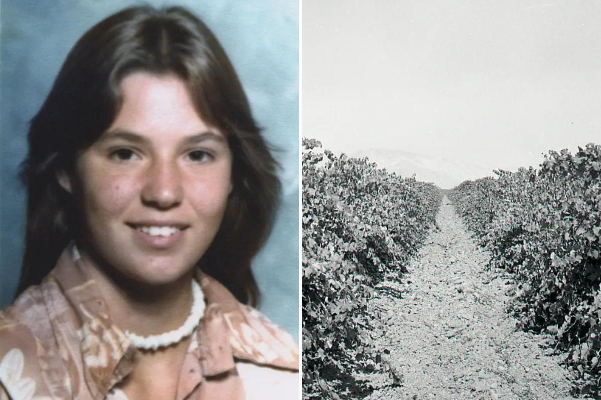 Teen murder victim found in Kern County vineyard finally identified nearly 50 years later