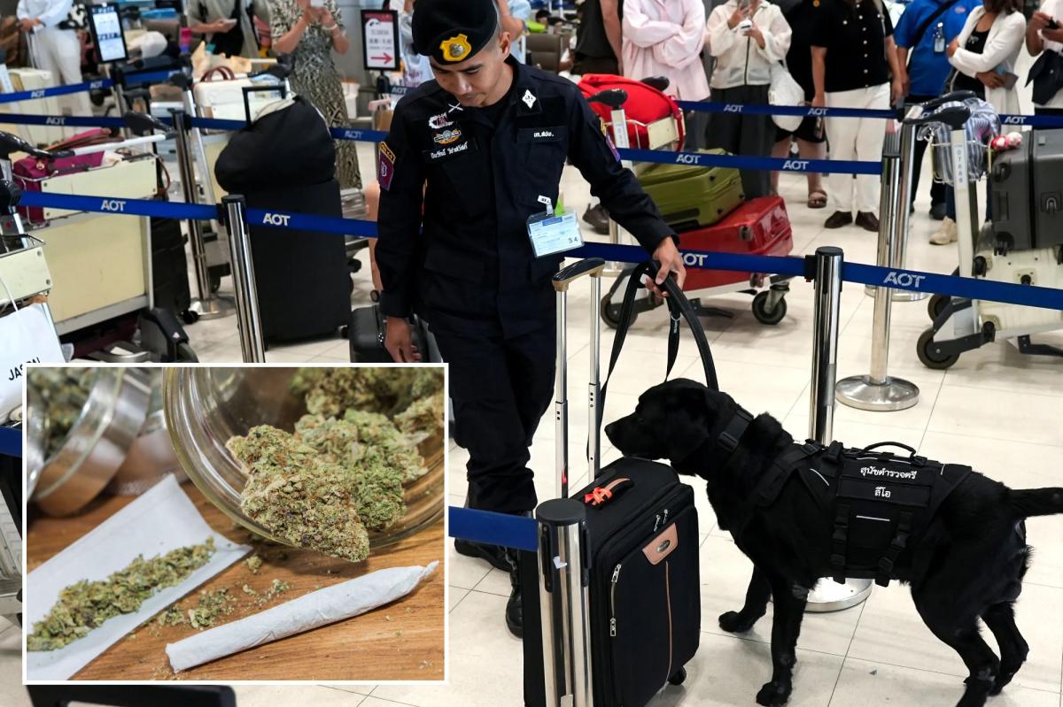 One cannabis mistake at airport could bring 10 years in prison and $15,000 fine