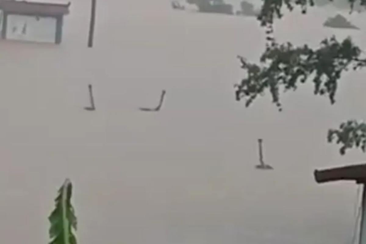 Horrified villagers living in fear after hundreds of venomous snakes escape farm as floodwaters crush city