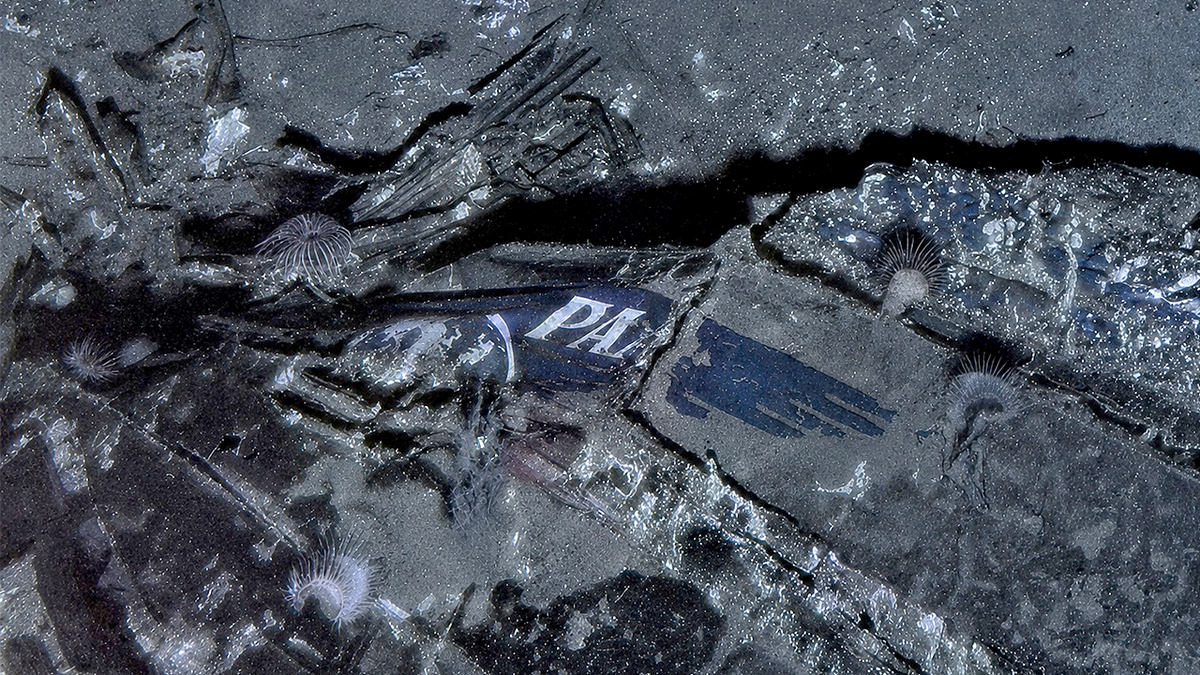 Clipper Endeavor wreck