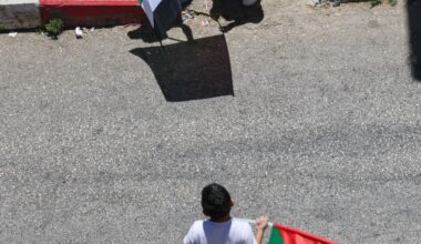 Palestine weekly: Ahead of elections, Israel doubles down on attacks | Israel-Palestine conflict News