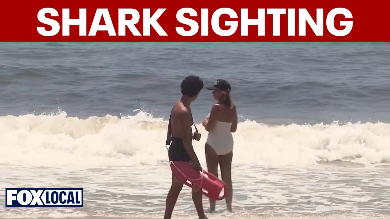 9-foot shark spotted at Long Island beach, first sighting of season