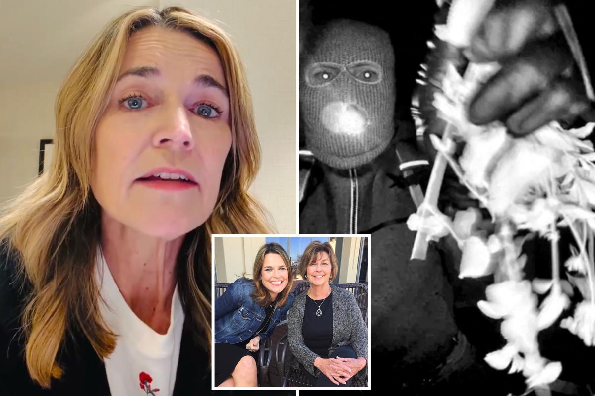 Savannah Guthrie makes heartbreaking new plea to Nancy's kidnappers