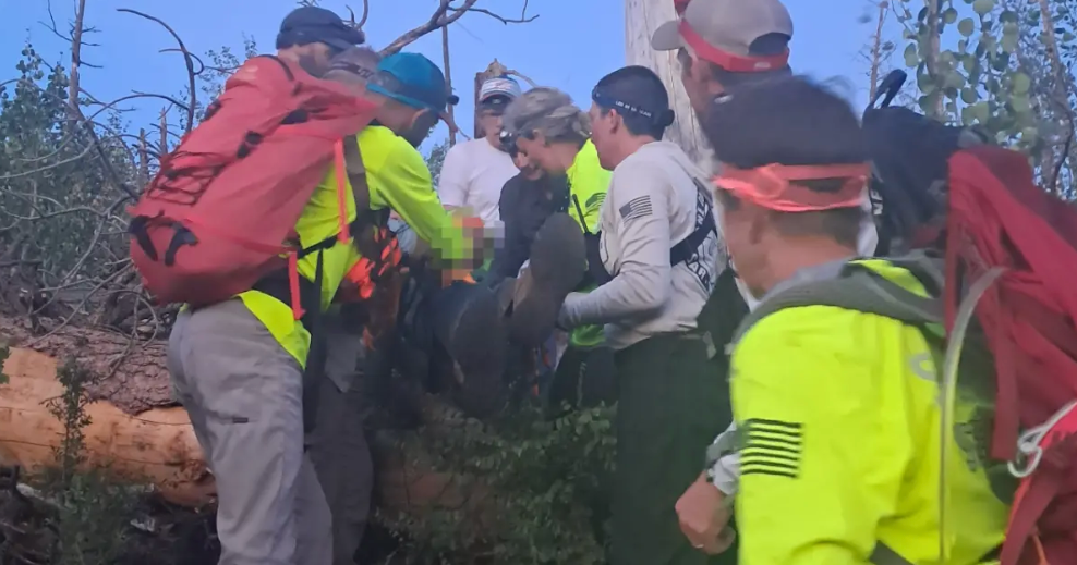 83-year-old man who went missing near Grand Canyon rescued after overnight search