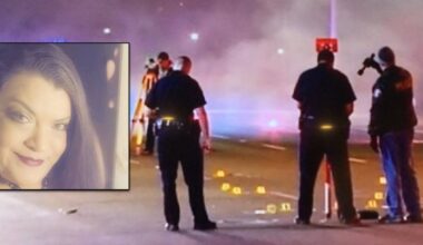 Hit-and-run suspect arrested in Israel after 2017 crash