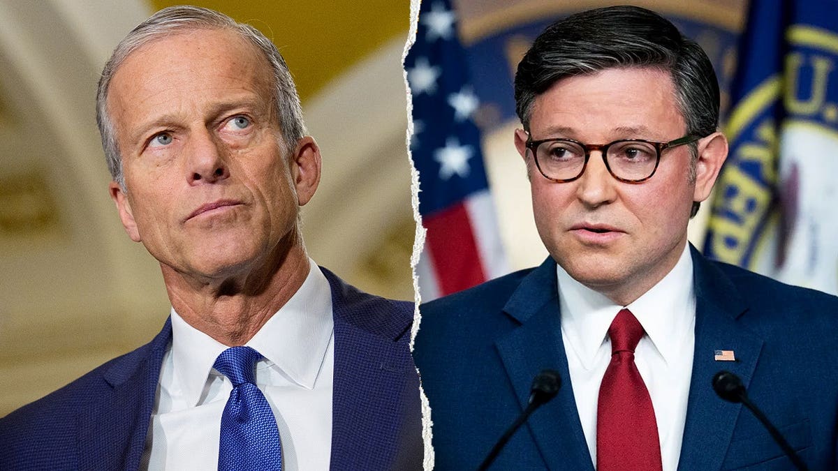 Senate Majority Leader John Thune and House Speaker Mike Johnson split
