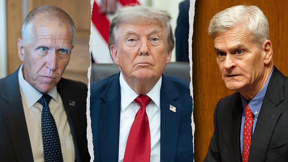 Compilation image of Thom Tillis, Donald Trump and Bill Cassidy