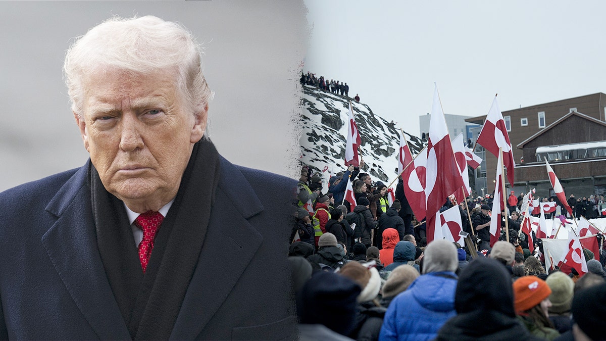 President Donald Trump and Greenland activists and protesters.