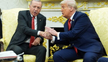 Erdogan's ties to Trump helped get the US leader to NATO summit