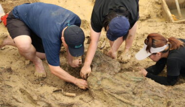 Archaeologists find gold rings around 2,000 years old in Thailand