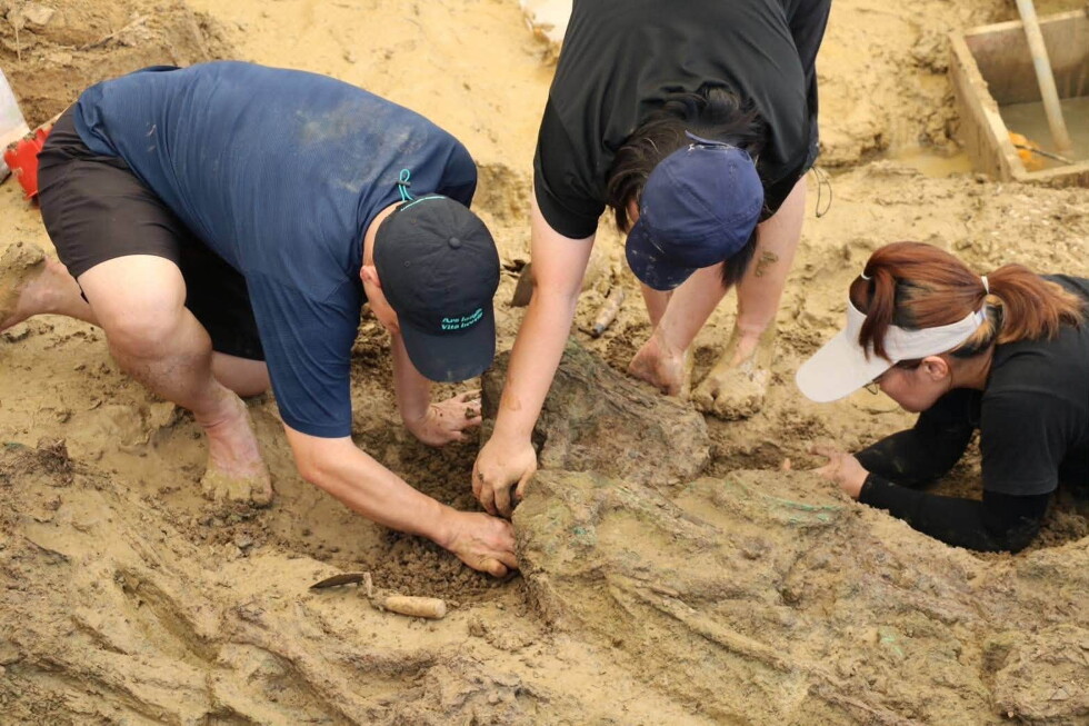 Archaeologists find gold rings around 2,000 years old in Thailand