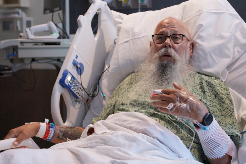 Bison attack in Yellowstone: Grandfather survives campground encounter