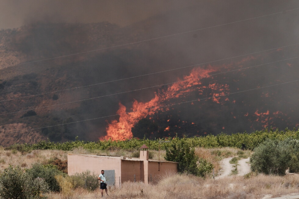 Spain's deadly wildfires in Almeria claim 12 lives amid heat wave