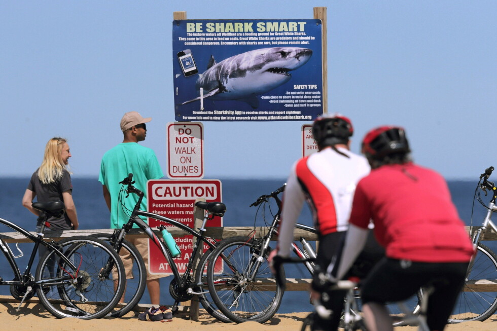 Alabama teen's shark attack inspires national alert system