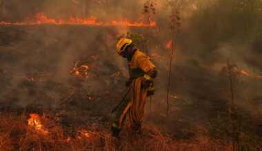 Global warming's fingerprints all over fires in Spain, France, studies show