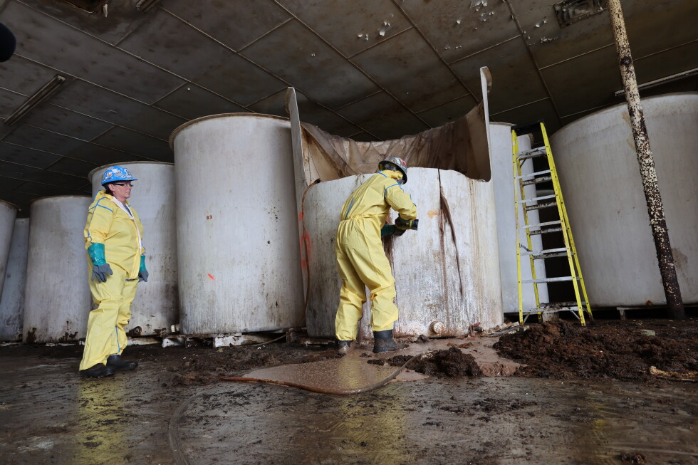 Canadian town of St. Mary's removes rotten fish smell after years of stench