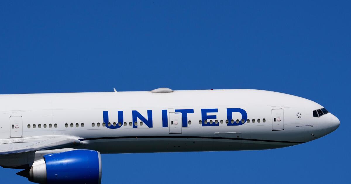 United rep threatens to call ICE on California customer in viral video