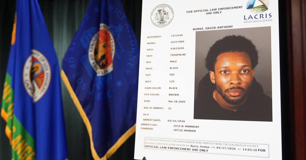 D4vd's garage had signs of blood, likely from cut up body, expert says